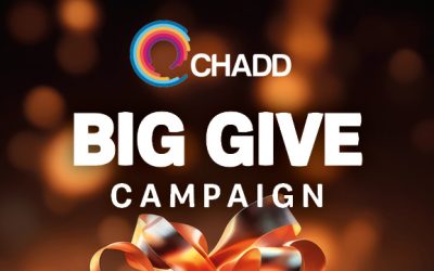 BIG GIVE Campaign