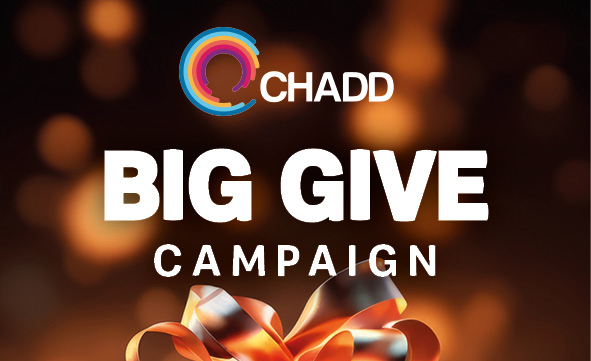 BIG GIVE Campaign